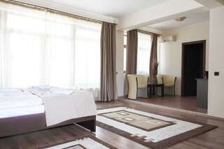 Отель Hotel Rao Клуж-Напока Люкс с 1 спальней с двуспальной кроватью-3
